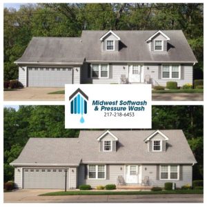 Don't buy a new roof, let us clean it!